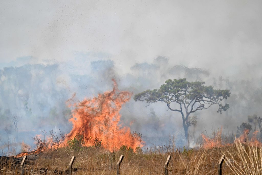 Firefighters struggle to put out fires around the Brazilian capital