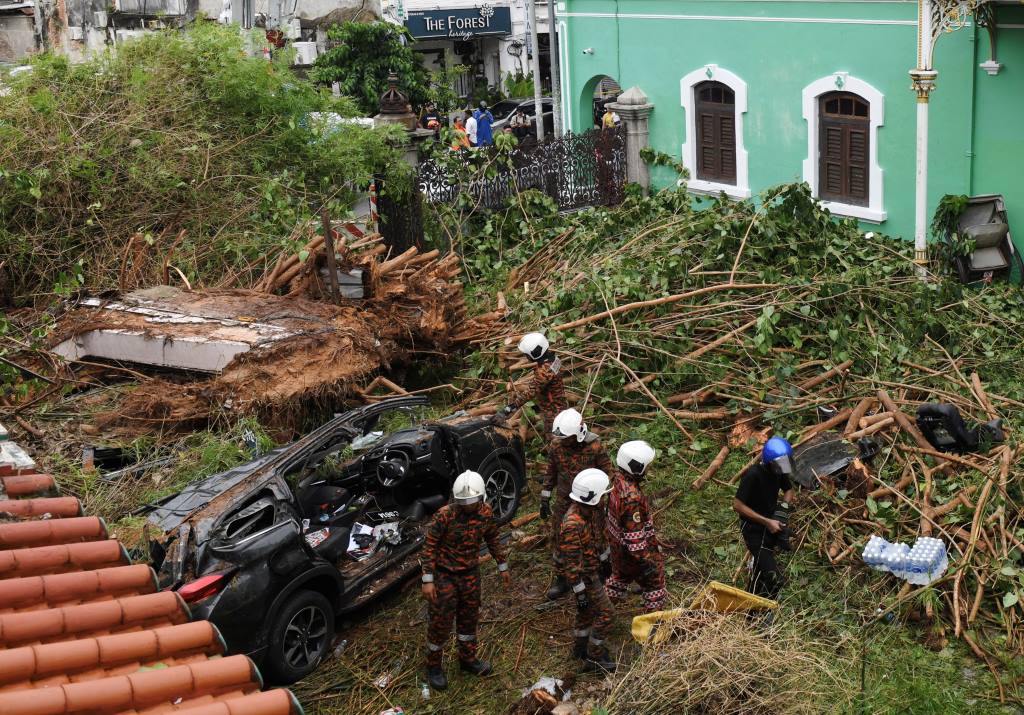 Firefighters received 2,575 emergency calls in cases of fallen trees